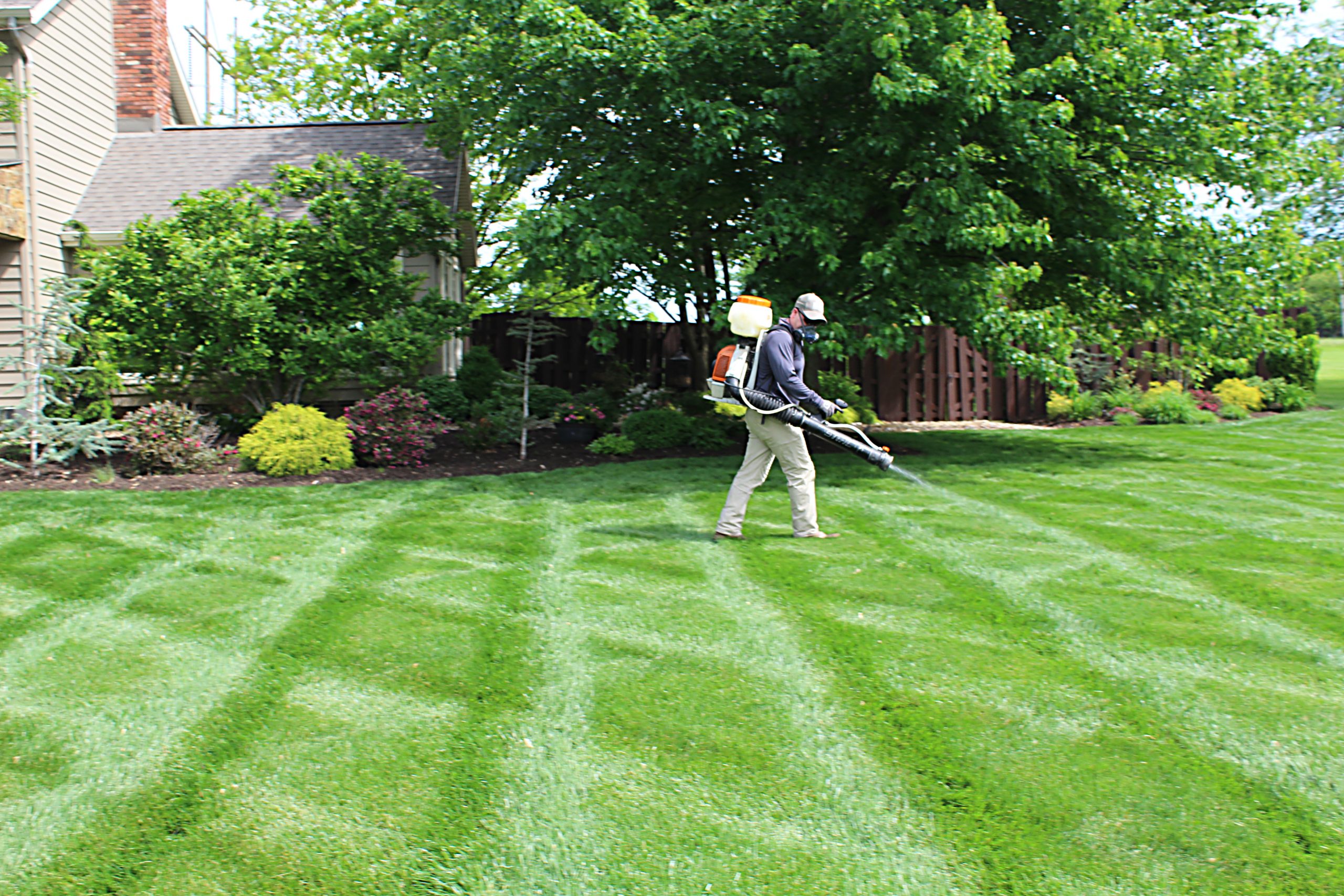 Completed Yard Project 1