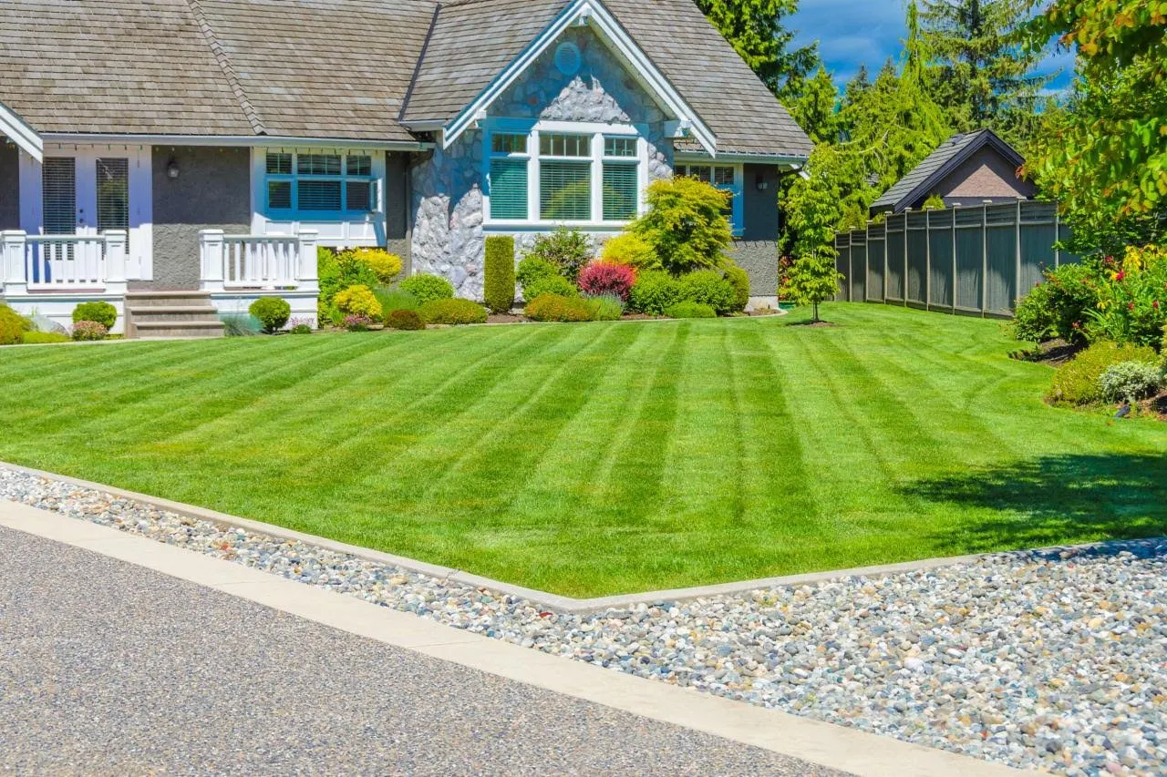 Completed Yard Project 3