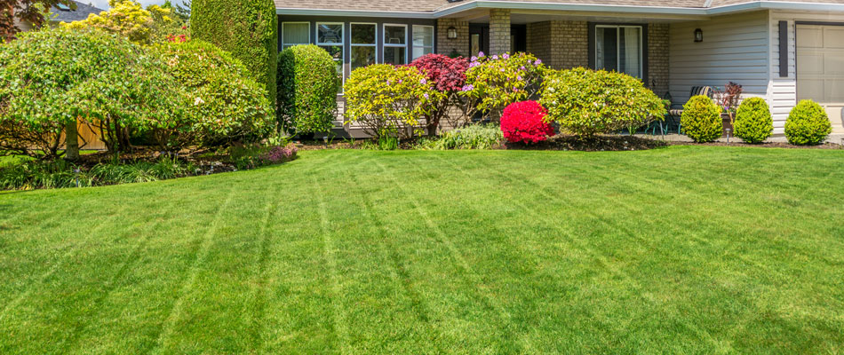 Completed Yard Project 6